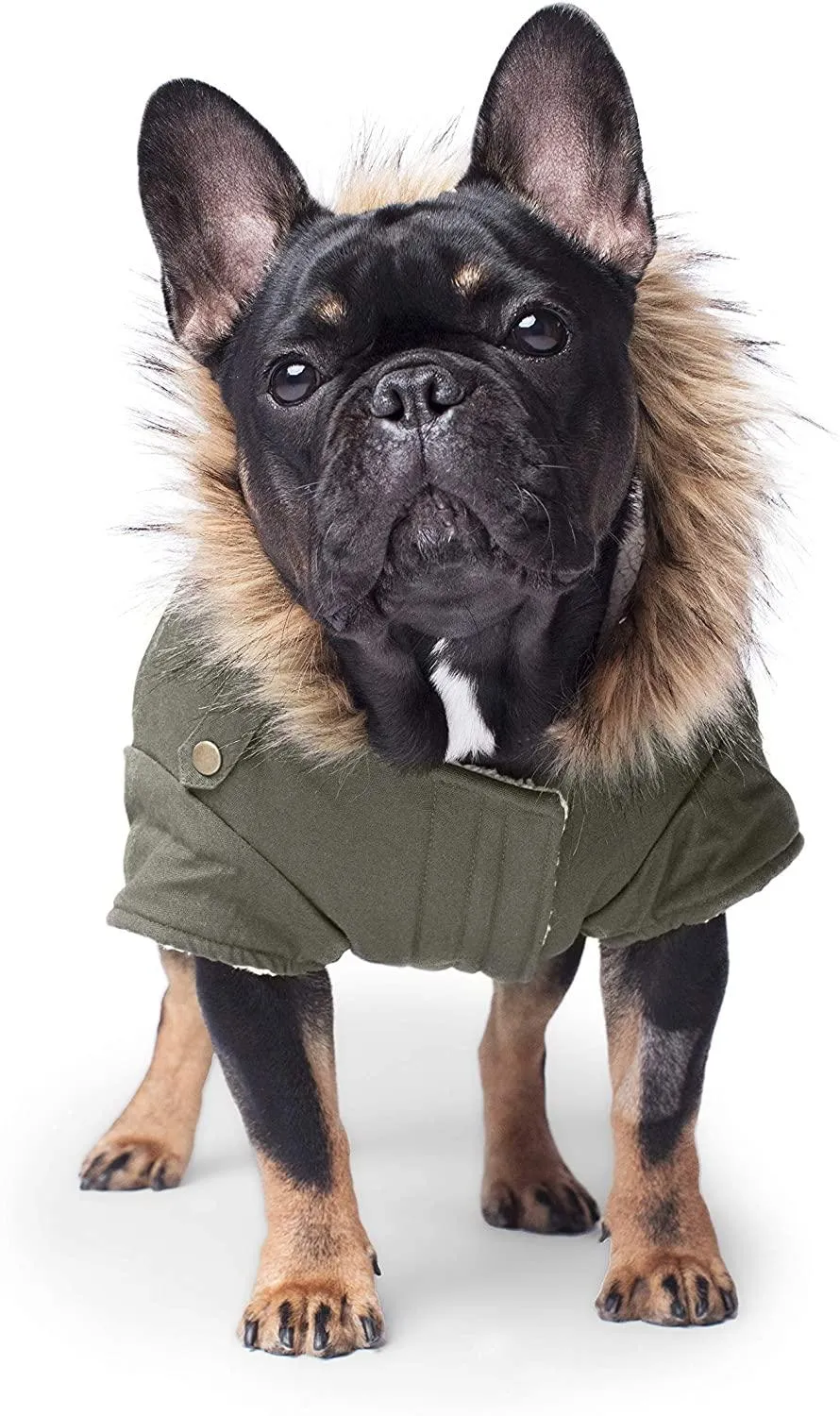 Canada Pooch Alaskan Army Parka Insulated Dog Coat