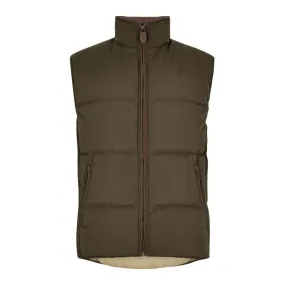 Dubarry Graystown Mens Down Gilet - Olive