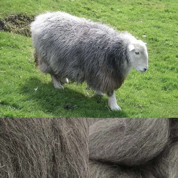 Herdwick Wool Top