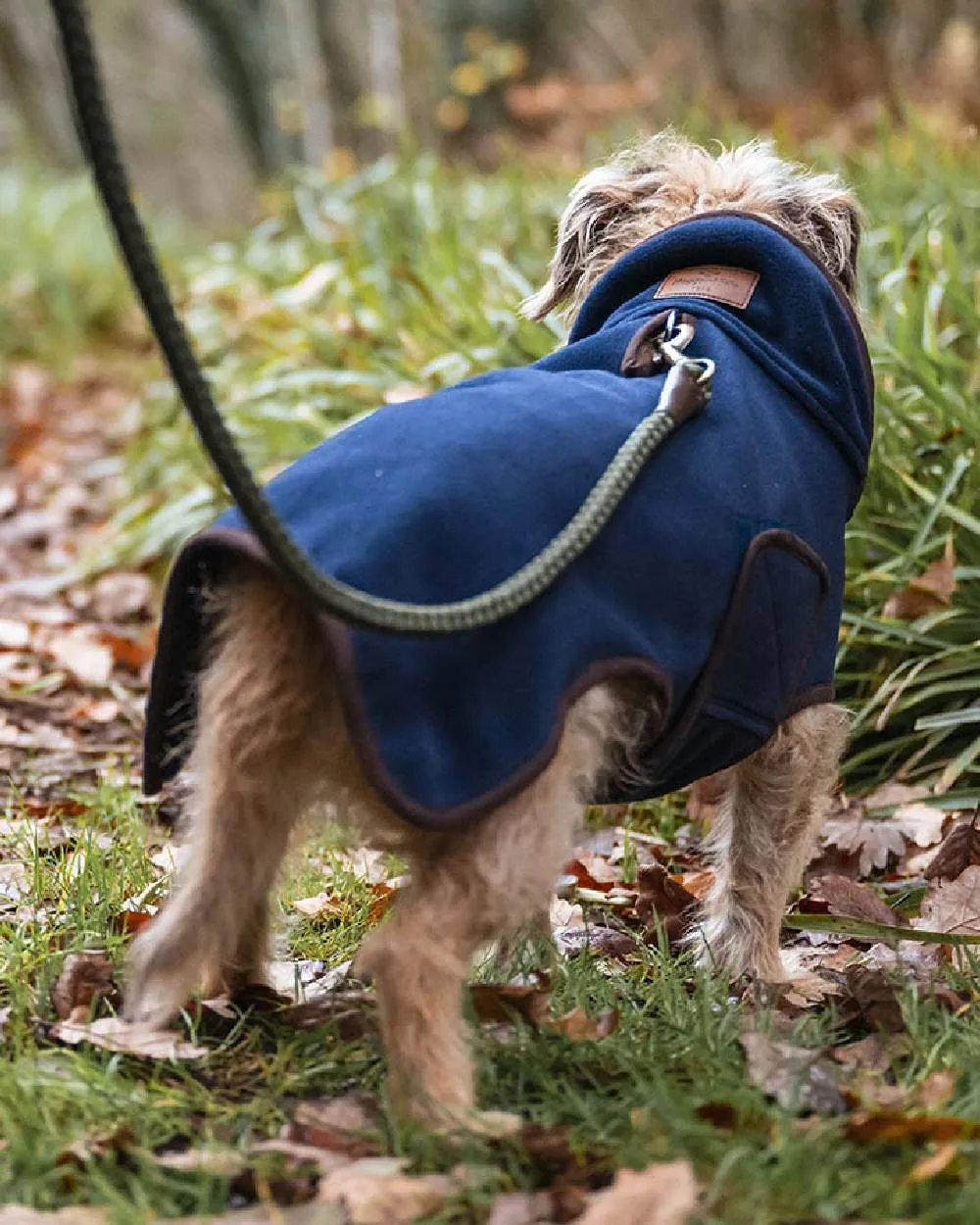 Hoggs of Fife Stenton Fleece Dog Coat