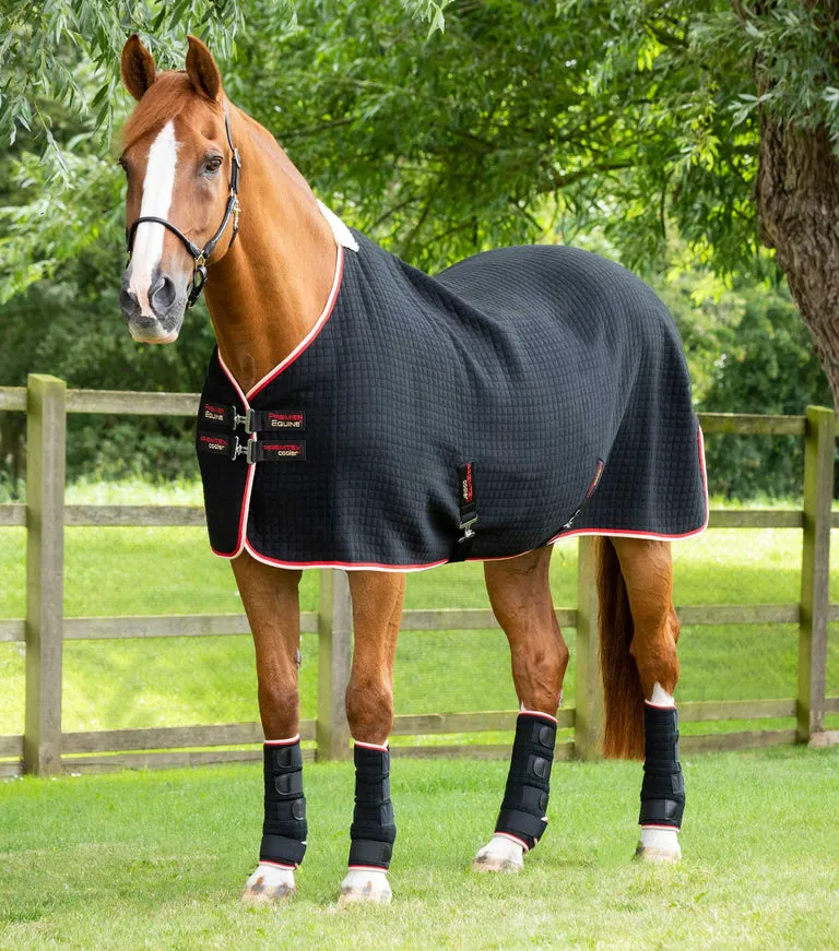 Premier Equine PremTex Horse Cooler / Travel / Stable Rug