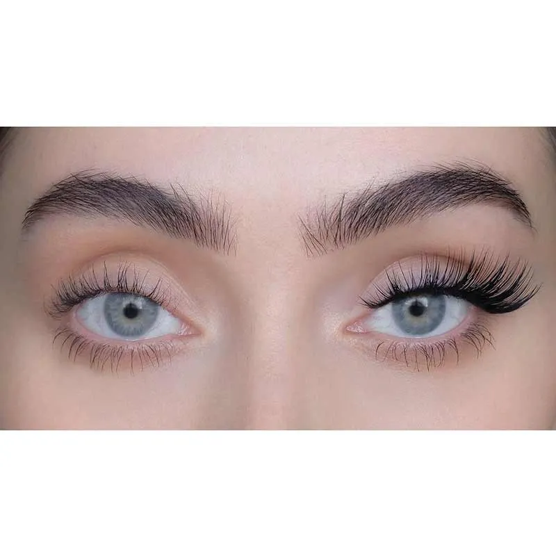 SWEED North 3D Lash